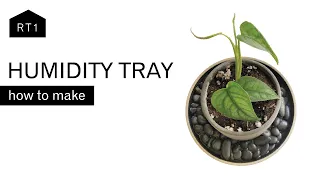 HOW TO MAKE A HUMIDITY TRAY FOR YOUR PLANTS