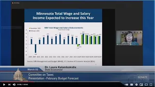 State Budget and Economic Forecast / Paycheck Protection Program Tax Conformity