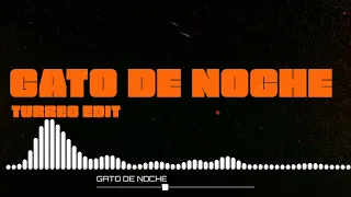 GATO DE NOCHE ( Turreo Edit ) - Bad Bunny, Ñengo Flow, Ciro Remix