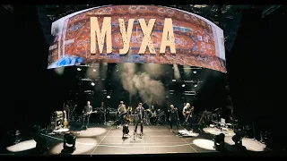 ДДТ – Муха