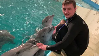 Анапа - дельфинарий ✨🐬🐬🐬✨ 3 февраля 2021 ✨💞✨ сюрприз от Настеньки!