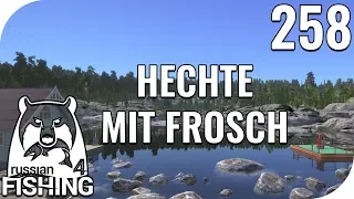 RUSSIAN FISHING 4 #258 - HECHTE AUF FROSCH! 🎣 || PantoffelPlays