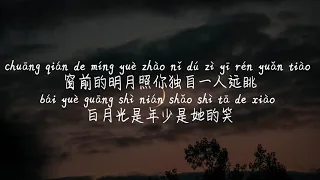 【白月光与朱砂痣-大籽】BAI YUE GUANG YU ZHU SHA ZHI-DA ZI /TIKTOK,抖音,틱톡/Pinyin Lyrics, 拼音歌词, 병음가사/No AD, 无广告