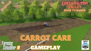 CARROT CARE - Chellington Valley Gameplay Episode 5 - Farming Simulator 19