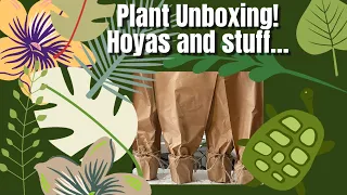 407: Plant Unboxing!!! Adding Some Super Cool Hoyas To The Hoya Collection + A New Species