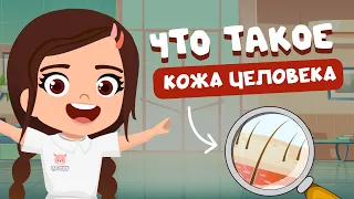 ТЕЛО ЧЕЛОВЕКА.  ЧТО ТАКОЕ КОЖА | Просто о сложном для детей.