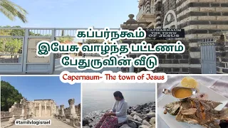 கப்பர்நகூம்/ பேதுருவின் வீடு/Capernaum - Town of Jesus  #tamilisraelvlog #capernaum