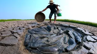 Best unique fishing - Catch underground monster catfish in dry season by hand a fisherman