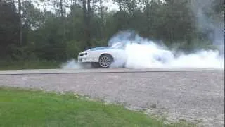 454 Monte Carlo Burnout 600 Horse 650ftlbs