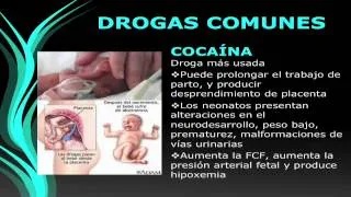 Videoconferencia "Drogas en el  Embarazo"