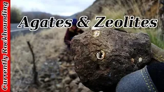 Roadside Rockhounding: Agates & Zeolites