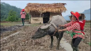 harrow the fields, sow seeds to prepare for the new rice crop, cut grass for buffaloes,