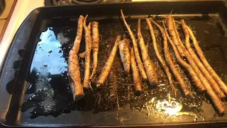 Recette de frites de pissenlits !!