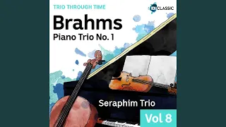 Piano Trio No. 1 in B Major, Op.8: 1. Allegro con brio