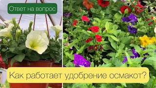 КАК РАБОТАЕТ УДОБРЕНИЕ ОСМАКОТ? ОТВЕТ ЗРИТЕЛЬНИЦЕ НА КОММЕНТАРИЙ!