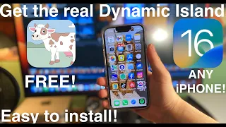 Get REAL Dynamic island for FREE on ANY iPHONE iOS 16 [DynamicCow]