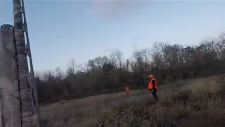 Ohio Pheasant Release