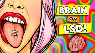 Your Brain On LSD | What To Expect On Acid