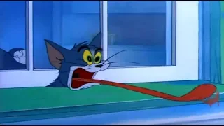 Tom & Jerry - Solid Serenade - Classic Cartoon for kids