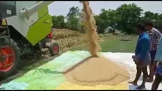 CLAAS Dominator 40 Harveater Combine.  @D.S. Enterprises @Lucknow@9569240298☺️