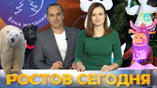 Ростов сегодня: вечерний выпуск. 29 декабря 2020