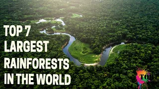 TOP 7 largest rainforests in the world