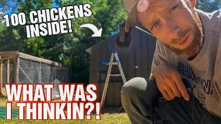 WHAT WAS I THINKIN?!| 100 NEW ANIMALS ON THE CABIN HOMESTEAD| UPCYCLED Barn Build