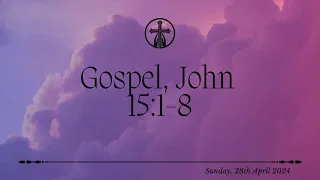 Sunday Gospel - 28th April 2024