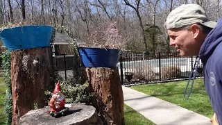 PSYCHO DAD is FORCED into Terry's GNOME WORLD