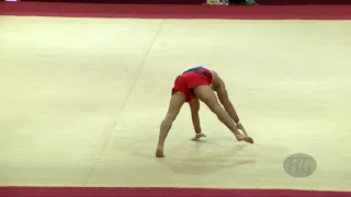 COLAK Ibrahim (TUR) - 2018 Artistic Worlds, Doha (QAT) - Qualifications Floor Exercise