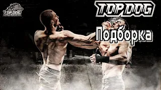 Подборка музыки с Top Dog | Top Dog music | 30 минут Топ Дог