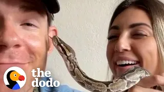 Python Abandoned By Her Owners Feels So Much Better After A Bubble Bath | The Dodo