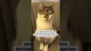 ещё много полезного на канале