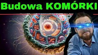 Komórka! Najprościej o budowie komórki zwierzęcej. Mitochondrium, błona komórkowa, wakuola, jądro..