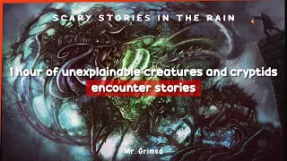 1 Hour Of Unexplainable Creatures & Cryptids Stories - Scary Stories In The Rain