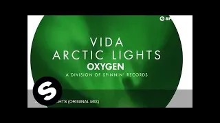 Vida - Arctic Lights (Original Mix)