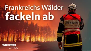 Waldbrände in Frankreich 2022: Reporter live vor Ort | WDR Aktuelle Stunde