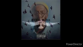 Bird Dreams- Ozzie Jay CSA ft Toure