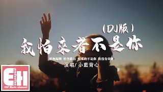 小藍背心 - 我怕來者不是你（DJ版）『怕無歸期 怕會猶豫，怕來的不是你 怕沒有結局。』【動態歌詞/Vietsub/Pinyin Lyrics】