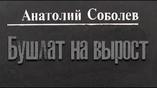 Анатолий Соболев. Бушлат на вырост 1