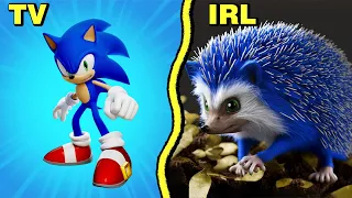 🦔 SONIC the Hedgehog Characters IN REAL LIFE 2023