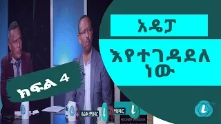 LTV WORLD: SEFEW MEHEDAR : አዴፓ እየተገዳደለ ነው