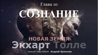 Экхарт Толле/Новая Земля/ГЛАВА 10/СОЗНАНИЕ