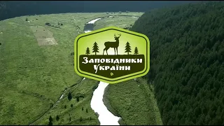 🦌 Про лісові та мисливські господарства Волині, 1 частина ▶ Заповідники України №27 ▶ Трофей