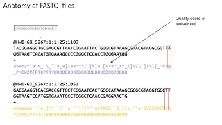 Importing and demultiplexing