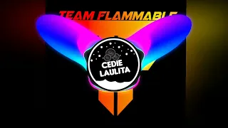 Dragostea Din Tei ( Disco Battle Remix ) Team Flammable