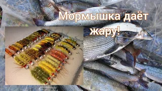 Мушка на Хариуса. Даст жару! Уловистая нимфа.