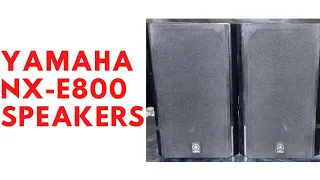 Yamaha NX-E800 Bookshelf Speakers How To Use Price And Connection IN HINDI 9811204032 / 9717618838