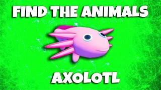 ROBLOX - Find the Animals -  AXOLOTL