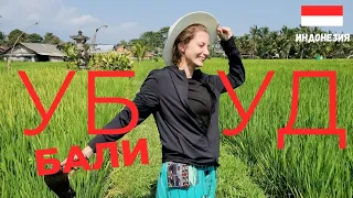 UBUD BALI: MARKETS, RICE TERRACES AND KESAK DANCE